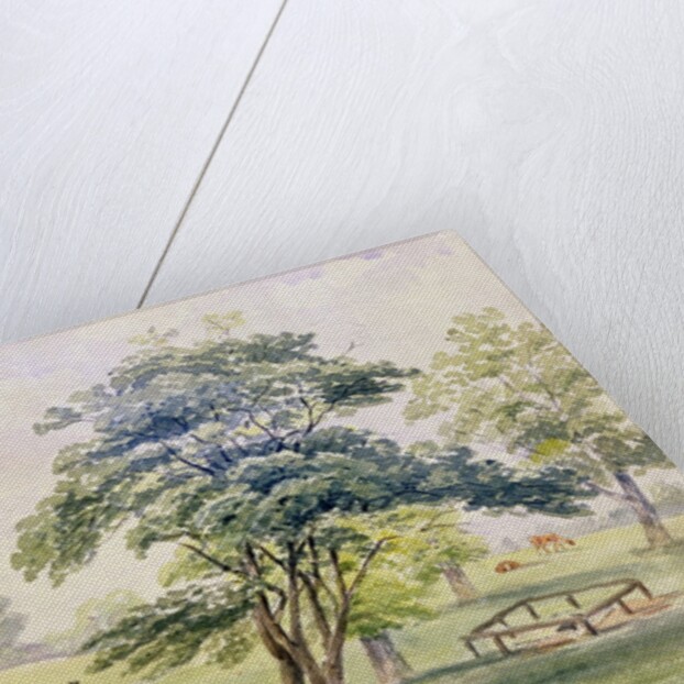 View of the North Part of Hyde Park, 1820 by English School