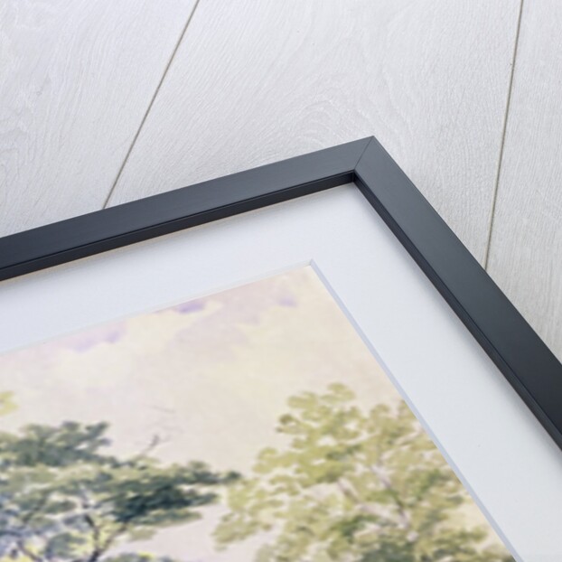 View of the North Part of Hyde Park, 1820 by English School