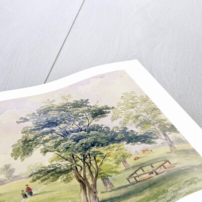 View of the North Part of Hyde Park, 1820 by English School