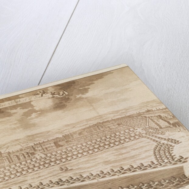 View of the Royal Palace and Park of St James's by School English