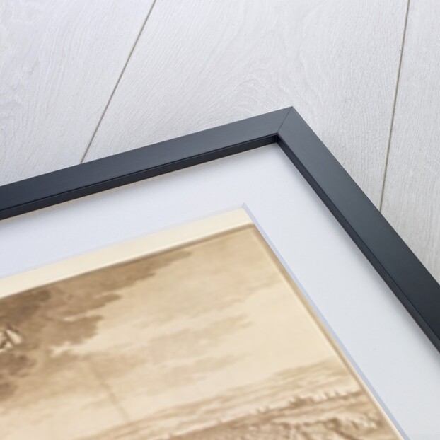 View of the Royal Palace and Park of St James's by School English