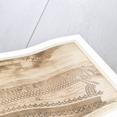 View of the Royal Palace and Park of St James's by School English