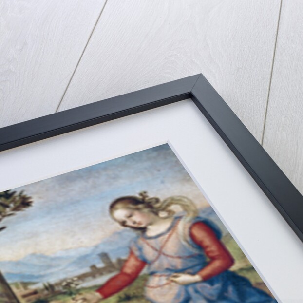 Vision of a Knight, c.1504 by Raphael