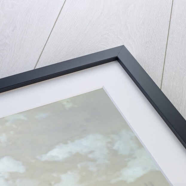 St. Pauls from the River, 1863 by David Roberts