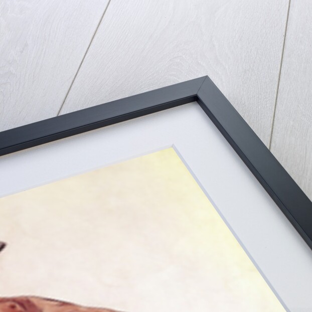 Uniform worn by women porters at the Bank of England 1917-20 by School English