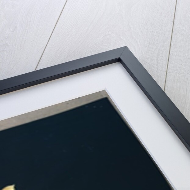 Sunflower by Mary Granville Delany