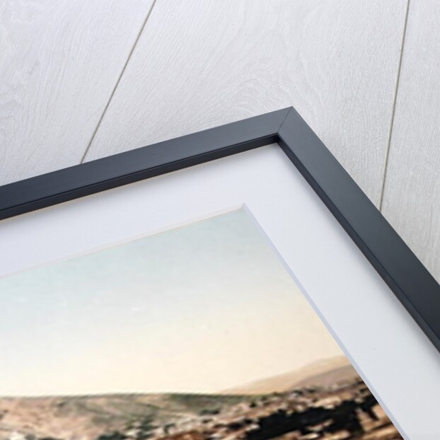 Vintage postcard of Tbilisi, 1890s by Russian Photographer