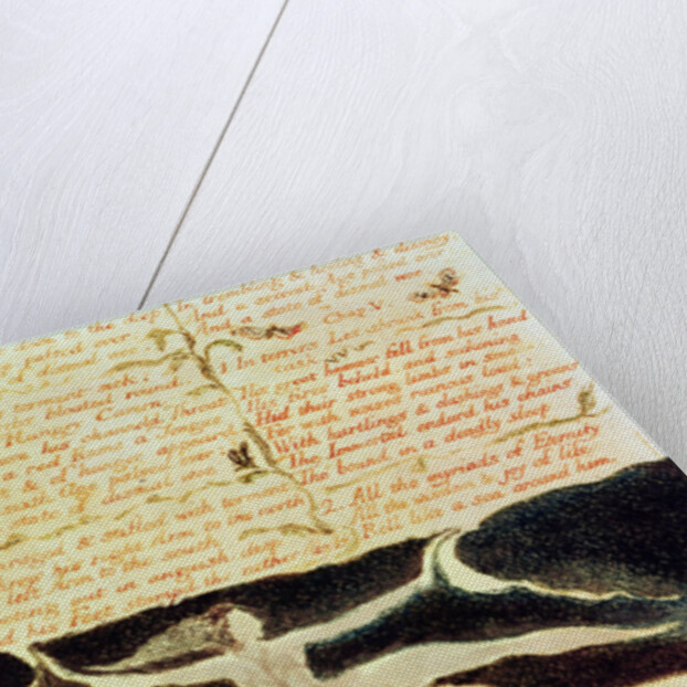 Two nostrils bent down to the deep... by William Blake