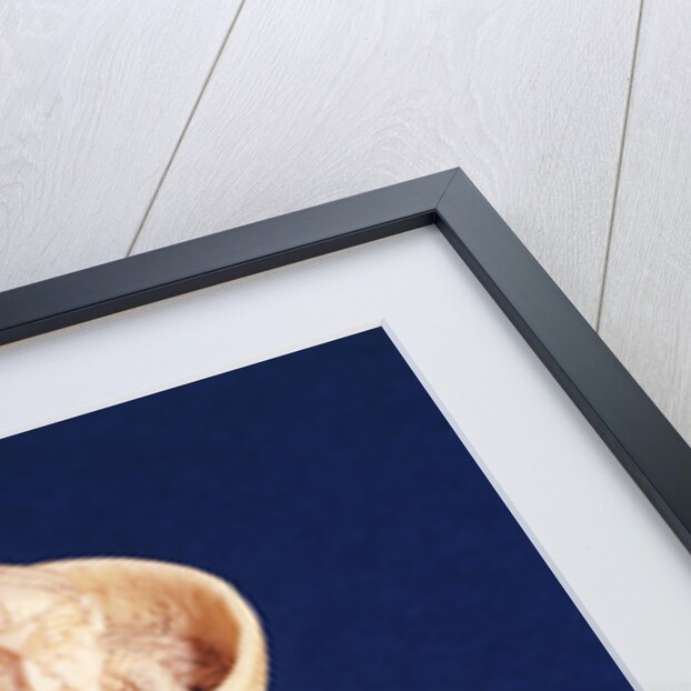 Top part of Salt Cellar by the Master of the Heraldic Ship, Nigeria, Bini-Portuguese, c.1525-1600 by Nigerian School