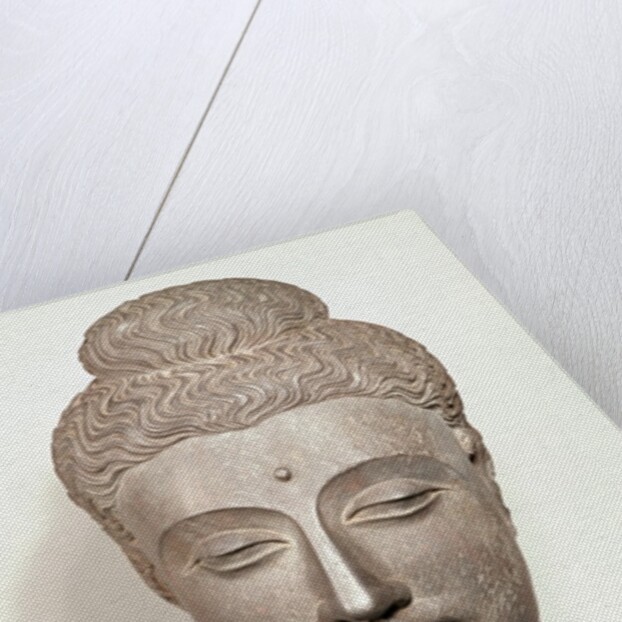Head from a statue of the Buddha, from Gandhara, north-west India by Indian School