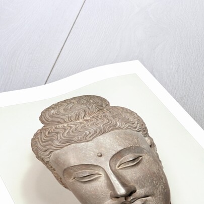 Head from a statue of the Buddha, from Gandhara, north-west India by Indian School