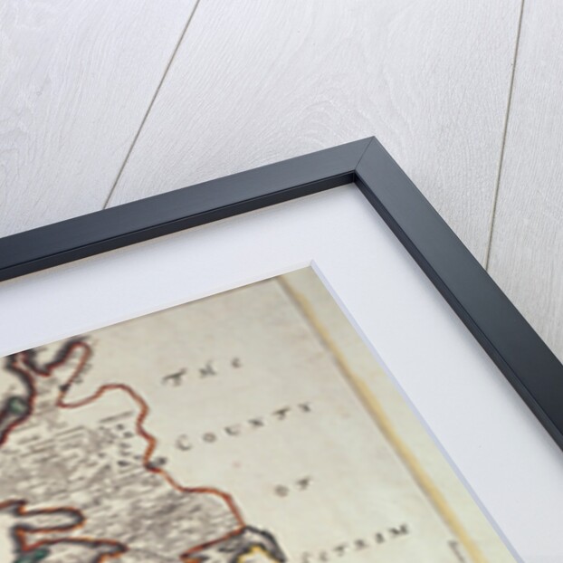 The County of Slego by William Petty