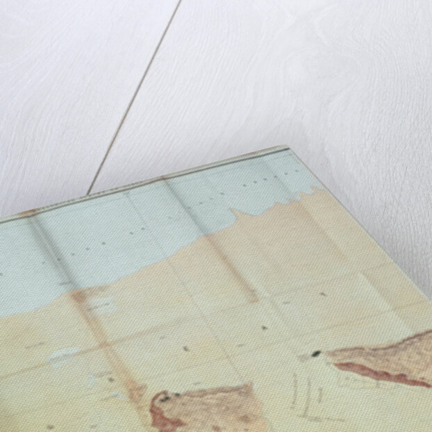 Geological Map of the Cutch Desert, 1870 by English School