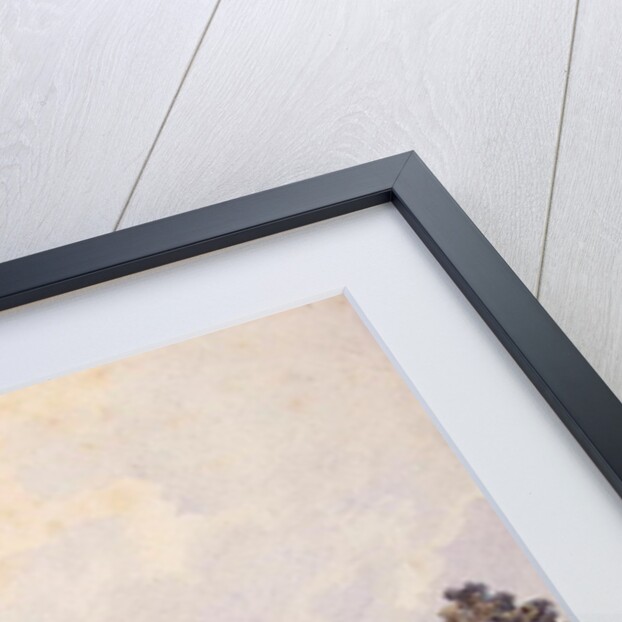 View of Christchurch, 1810 by William Pearson