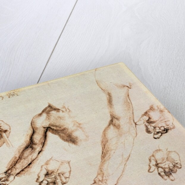 Study of male hands and arms by Albrecht Dürer or Duerer