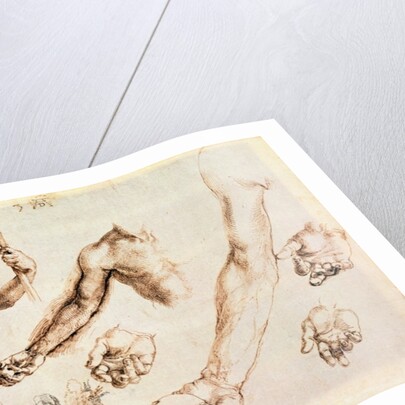 Study of male hands and arms by Albrecht Dürer or Duerer