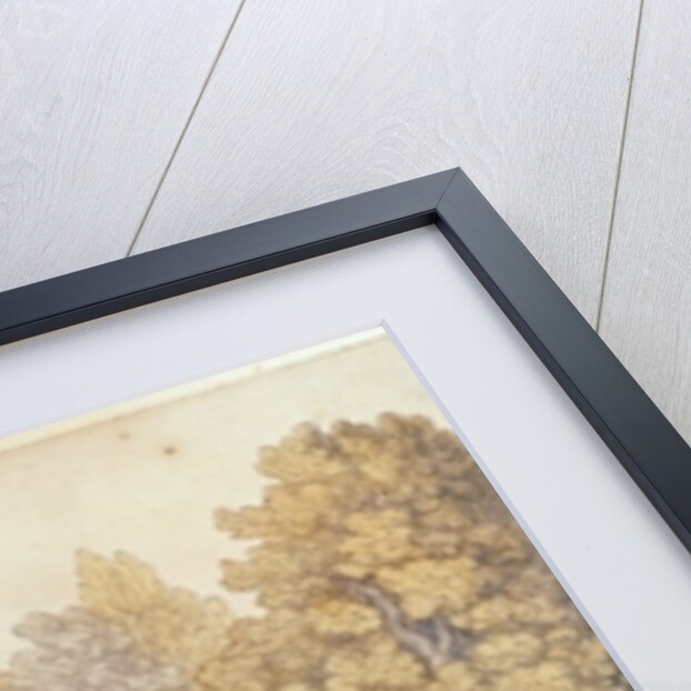 Cartoon depicting country folk leaving for the town, 1818 by Thomas Rowlandson