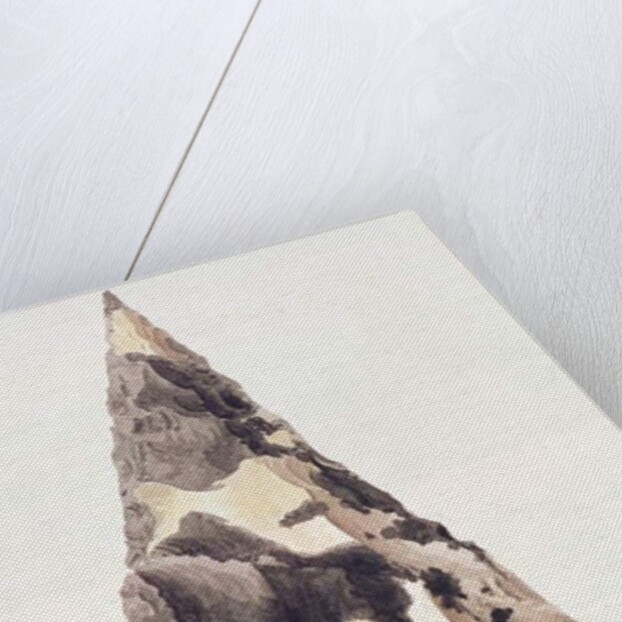 Flint Weapon, 1797 by Thomas Richard Underwood