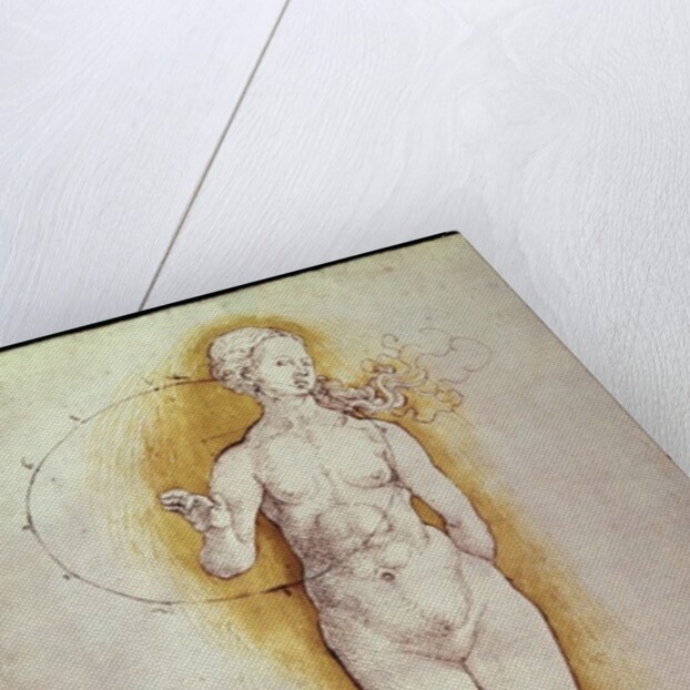 Female nude by Albrecht Dürer or Duerer