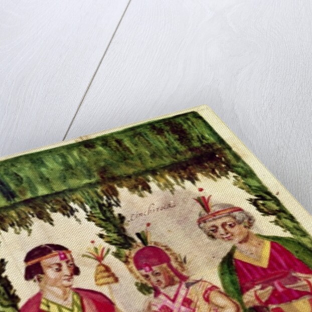 Illustration of Cincheroca by Spanish School