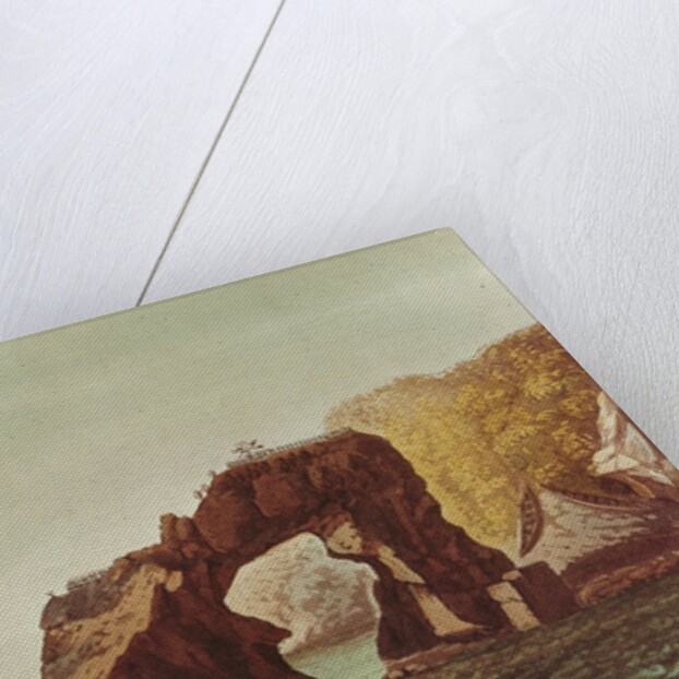 A Native Canoe by G. Castellini