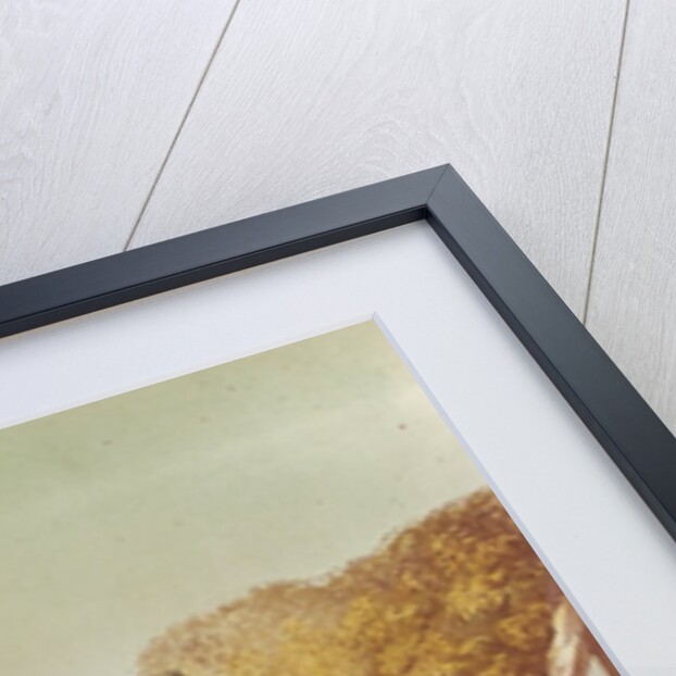 A Native Canoe by G. Castellini