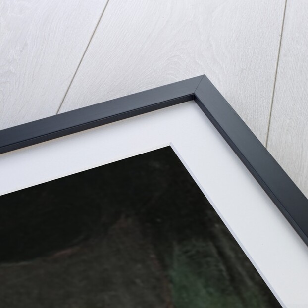 Queen Charlotte, 1789-90, wife of George III by Thomas Lawrence