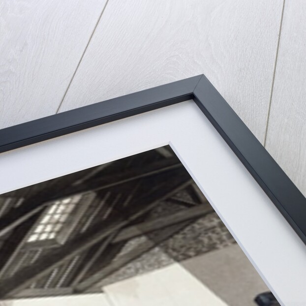 Johnson's Pedestrian Hobbyhorse Riding School, 1819 by Henry Thomas (after) Alken