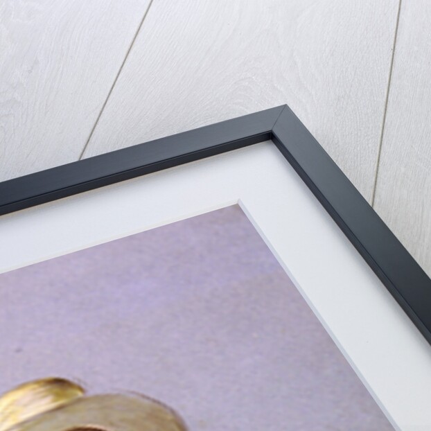 Portrait of Samuel Palmer by Henry Walter