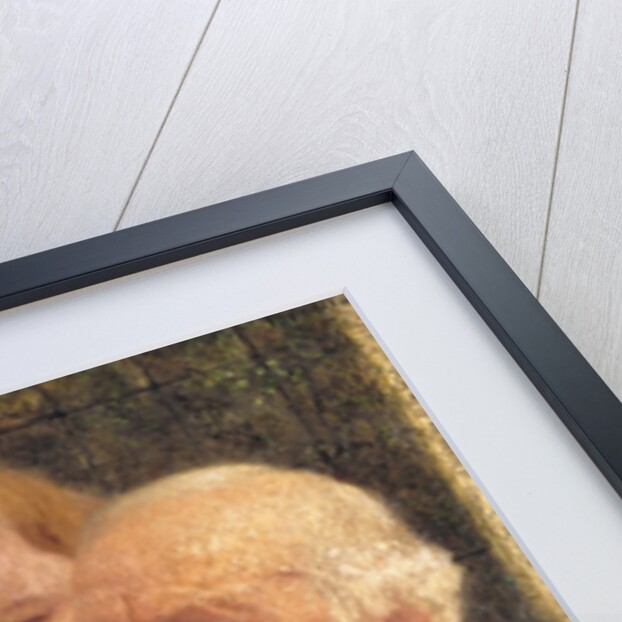 Comrades: John Galsworthy's niece and Rudolph Sauter by George Sauter