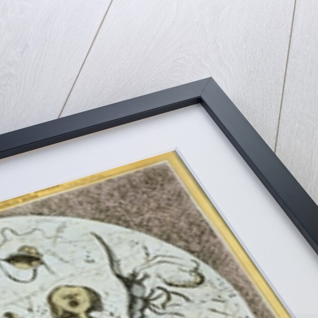 Microcosm dedicated to the London Water Companies by William Heath