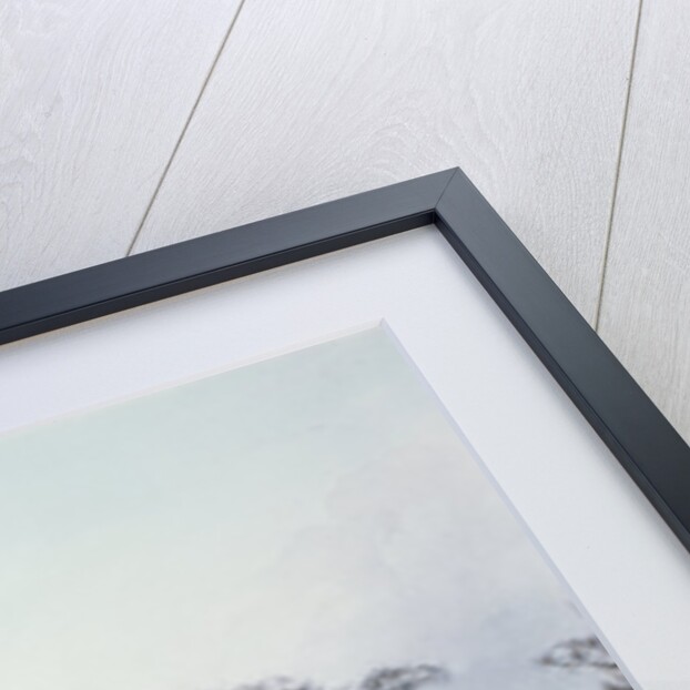 View of Buckingham House and St James Park in the Winter, pub. by R. Havell & Sons, 1810 by John (after) Burnet