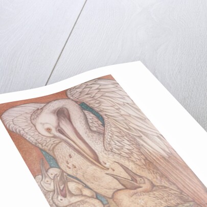 The Pelican, cartoon for stained glass for the William Morris Company, 1880 by Edward Coley Burne-Jones