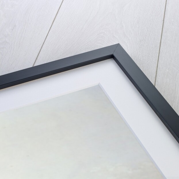 The Treasury, Whitehall, pub. by Lloyd Bros. & Co. 1852 by Edmund Walker