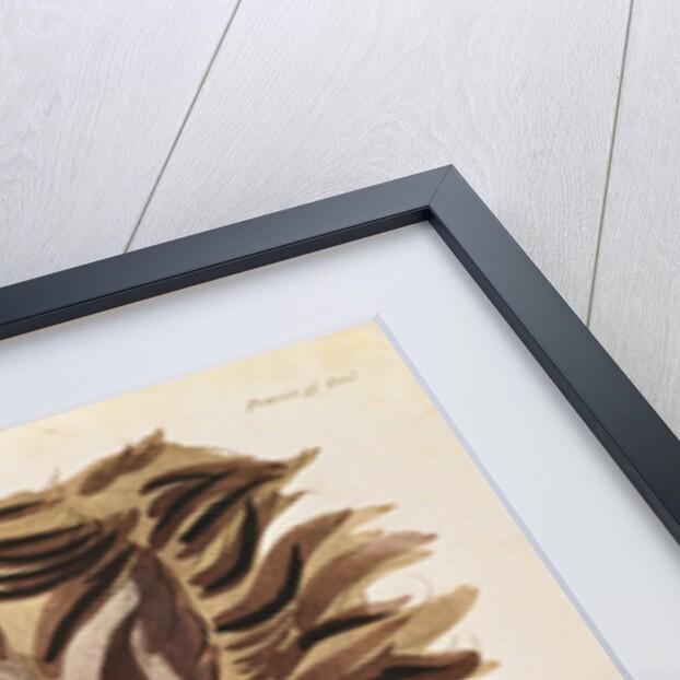 Astaroth, Abaddon and Mammon, three demons from 'The Magus' by Francis Barrett by Francis (after) Barrett