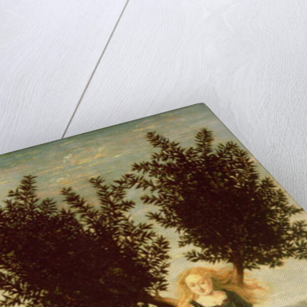 Daphne and Apollo, c.1470-80 by Antonio Pollaiuolo