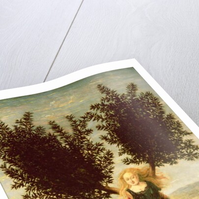 Daphne and Apollo, c.1470-80 by Antonio Pollaiuolo