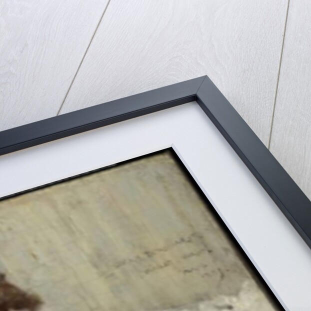 Sarah Bernhardt, 1889 by Dudley Hardy