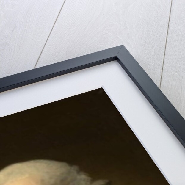 George Washington, 1796-1803 by Gilbert Stuart