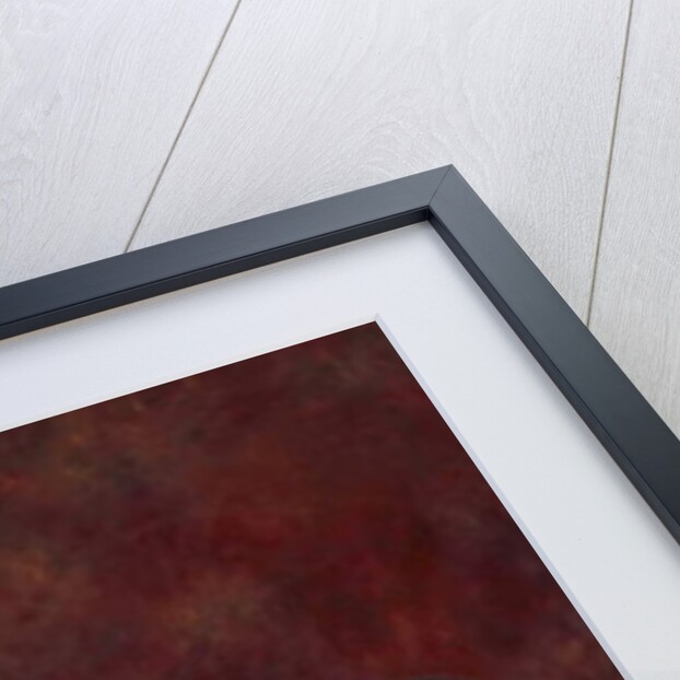 A Box at the Theatre, 1880 by Pierre Auguste Renoir