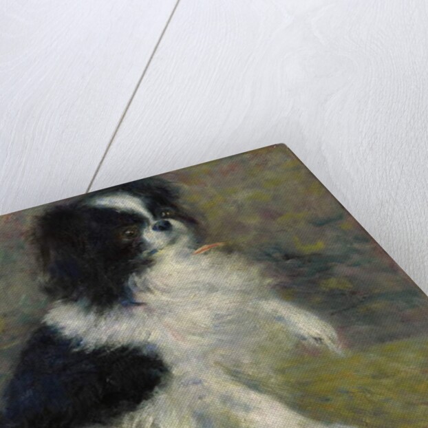Tama, the Japanese Dog, c.1876 by Pierre Auguste Renoir