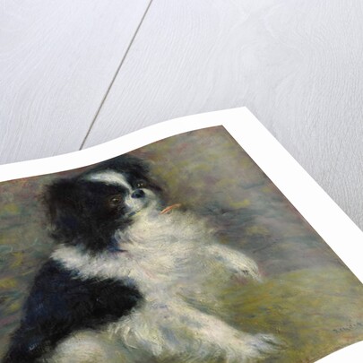 Tama, the Japanese Dog, c.1876 by Pierre Auguste Renoir