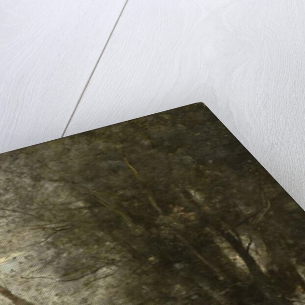 Bathers of the Borromean Isles, c.1865-70 by Jean Baptiste Camille Corot