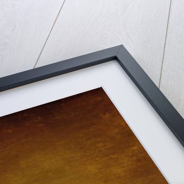 Children with a Cat, 1631 by Dirck Hals