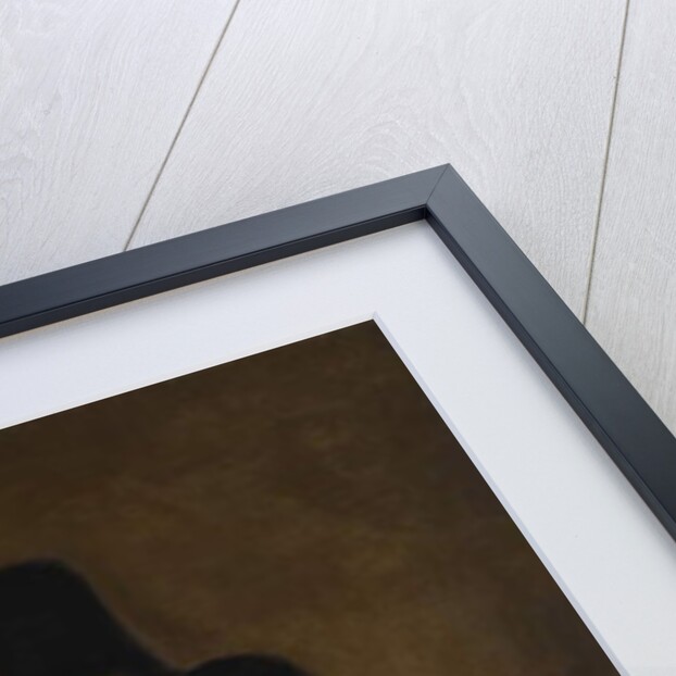 Asensio Julia, 1814 by Francisco Jose de Goya y Lucientes