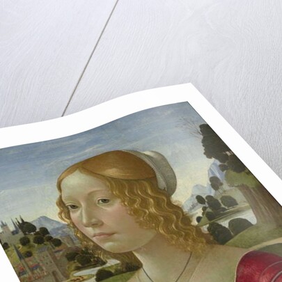 Portrait of a Lady, c.1490 by Domenico (1449-94) Ghirlandaio