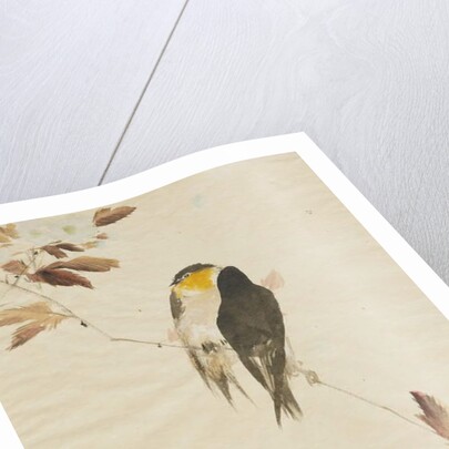 Birds on a Branchm, 1871-1917 by Watanabe Seitei