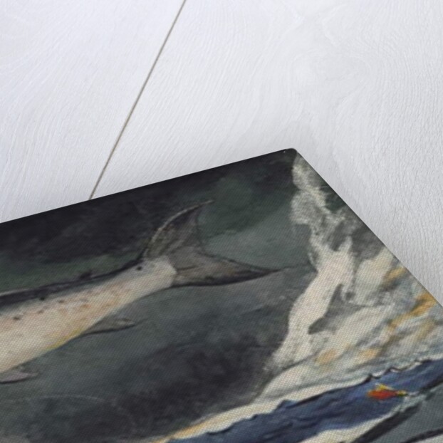 A Good Pool, Saguenay River, 1895 by Winslow Homer