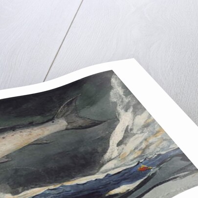 A Good Pool, Saguenay River, 1895 by Winslow Homer