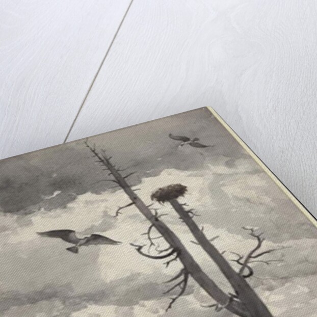 The Eagle's Nest, 1902 by Winslow Homer